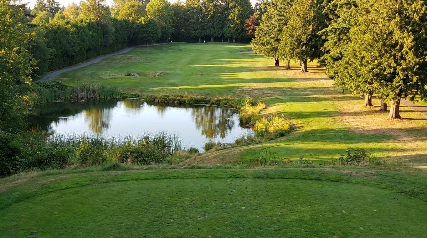 Illustrative placeholder view of hole 12, a 154 yard par 3
